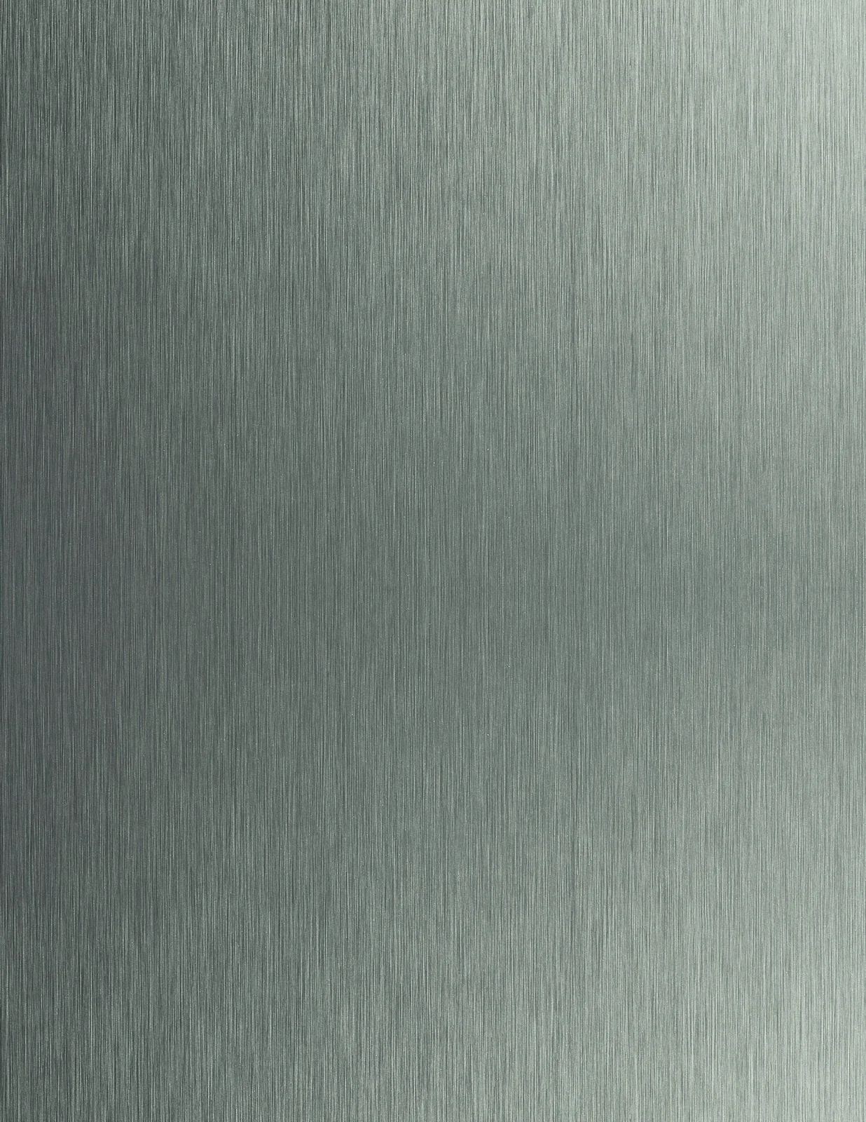 Brushed Stainless 1008